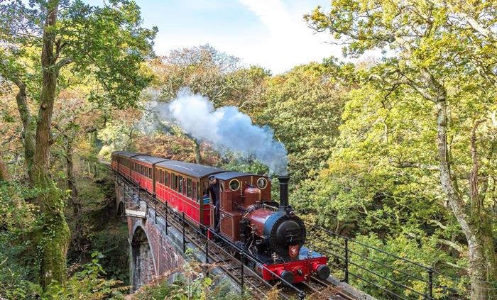 One of the original Loco's, No.2 'Dolgoch' crosses the viaduct which shares it's name.  The loco has been in use since 1866 and is still used at the R